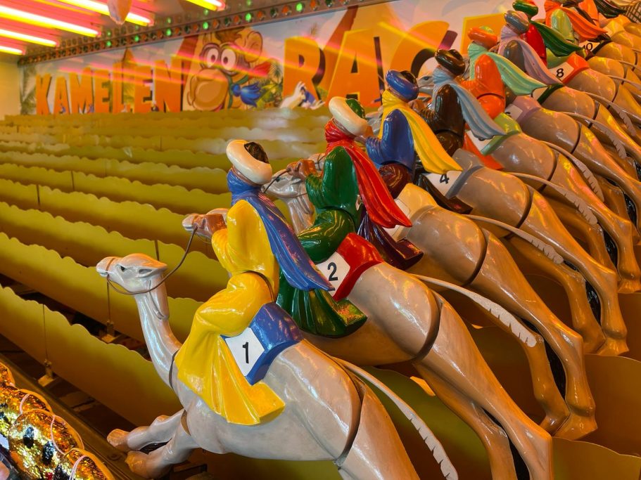 Kamelenrace Huren voor evenementen